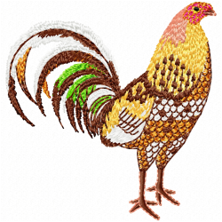 Chickens And Roosters Embroidery Design 8 Chickens And Roosters Embroidery Design 8